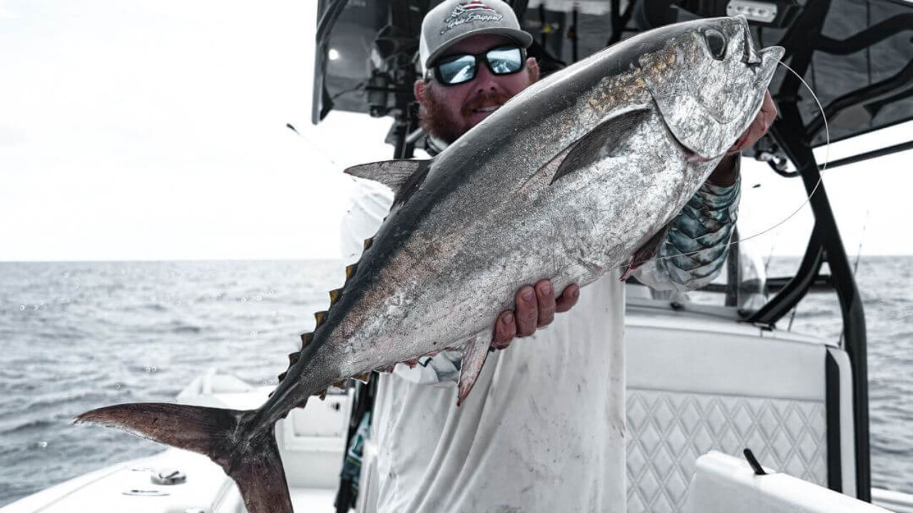 Big Blackfin Tunas Biting - Angling Adventures Florida Keys Fishing Trips